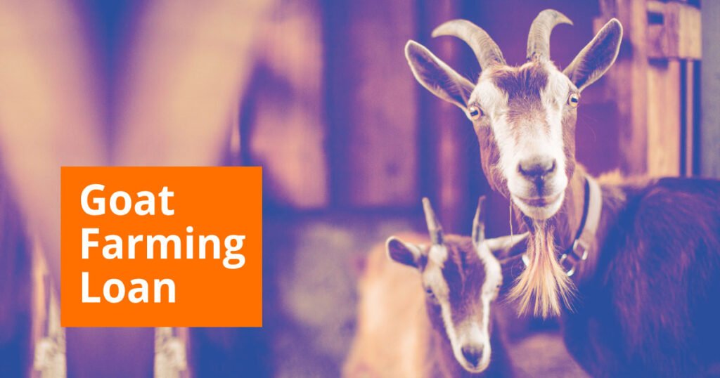 goat farming loan