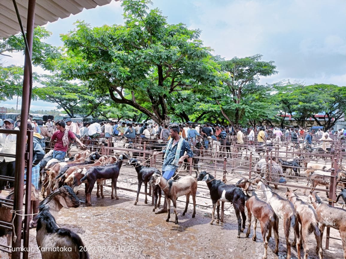 whatsapp image 2025 12 01 at 11.11.44