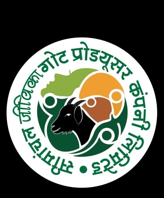 whatsapp image 2025 12 01 at 12.46.59