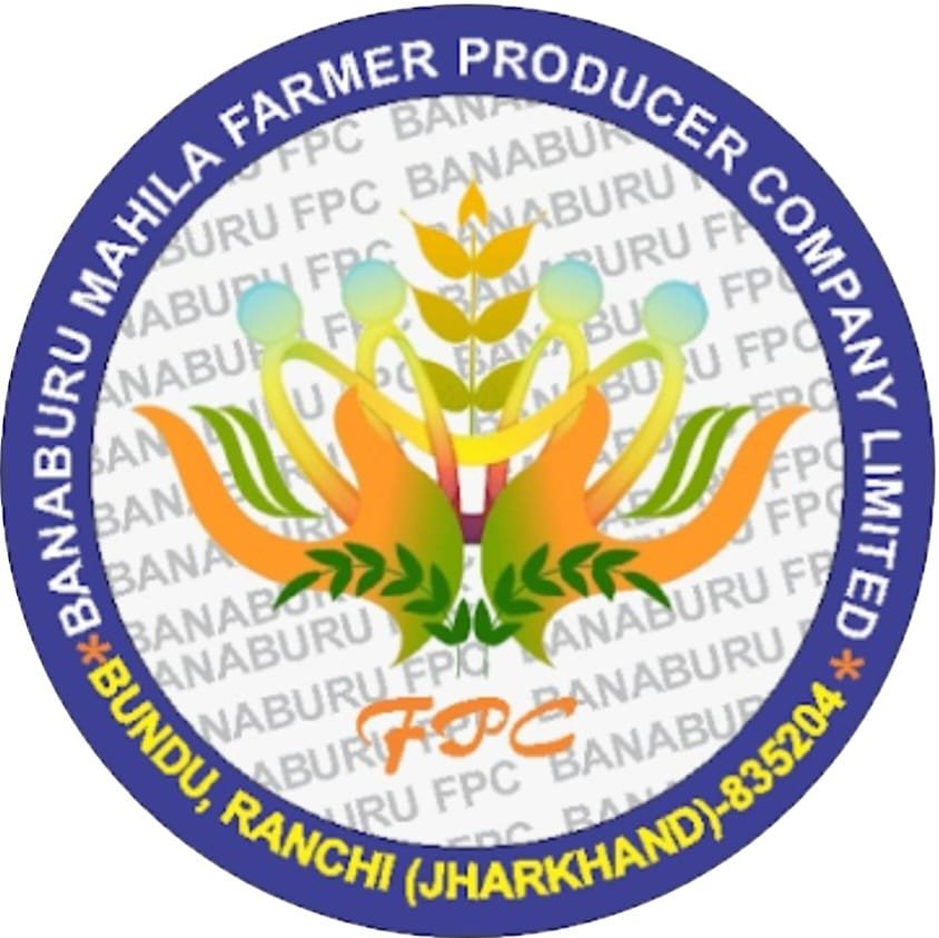 whatsapp image 2026 01 02 at 13.18.50