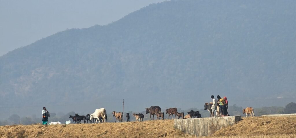 whatsapp image 2026 01 15 at 21.16.44